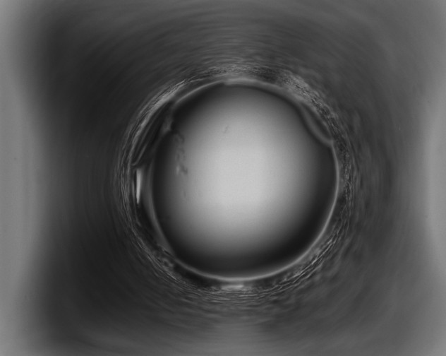 X0000097960050200803241222