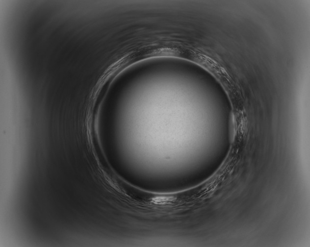 X0000097960051200803241222