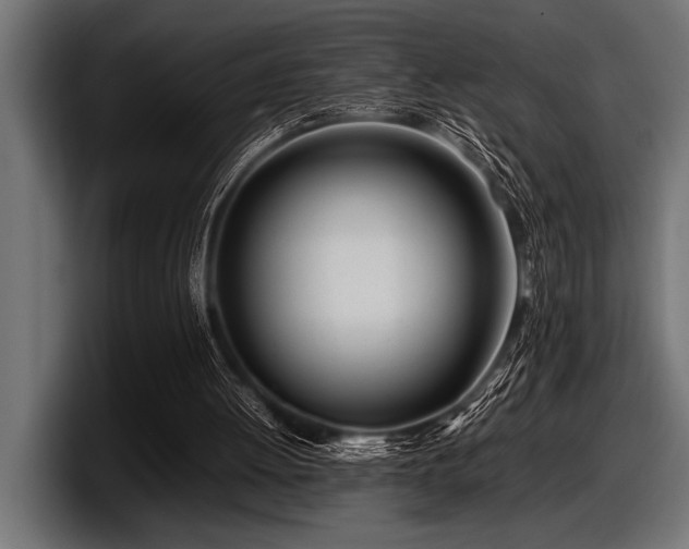 X0000097960052200803241222