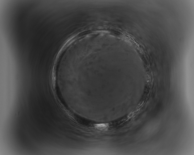 X0000097960053200803241222