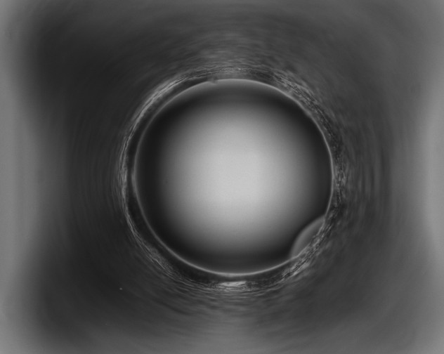 X0000097960054200803241222