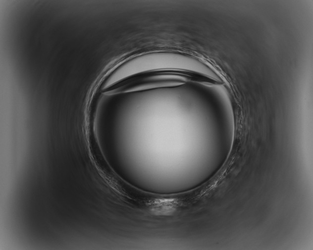 X0000097960055200803241222