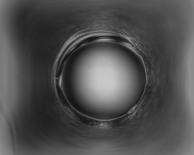 X0000097960056200803241222
