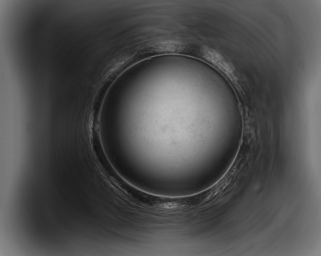 X0000097960058200803241222