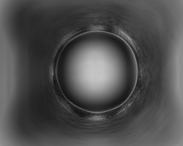 X0000097960059200803241222