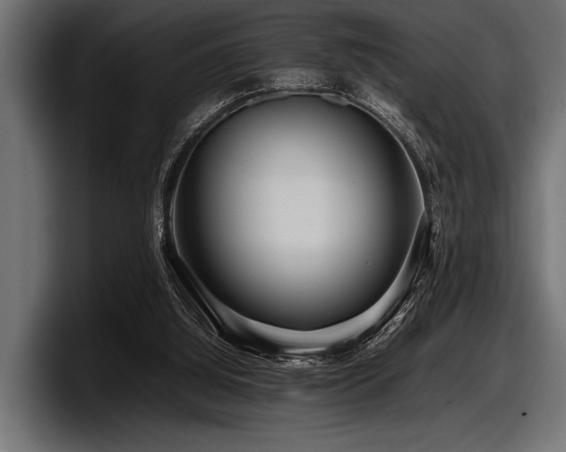 X0000097960060200803241222
