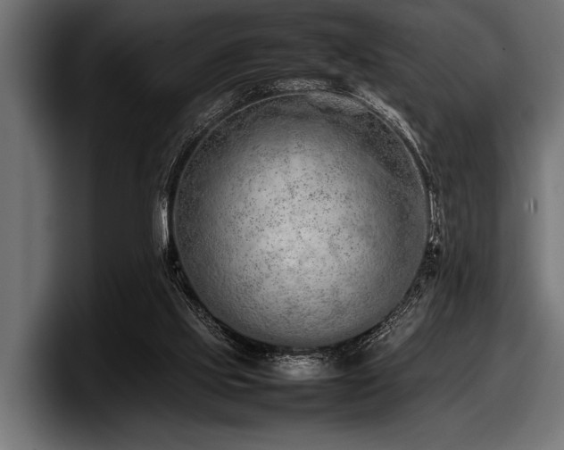 X0000097960061200803241222