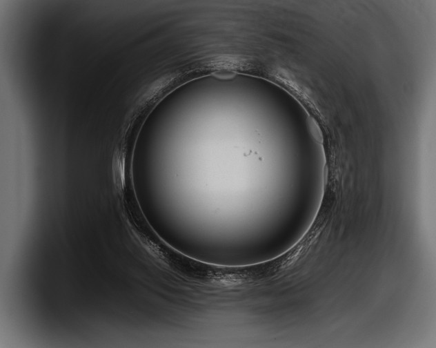 X0000097960062200803241222
