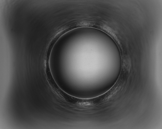 X0000097960063200803241222