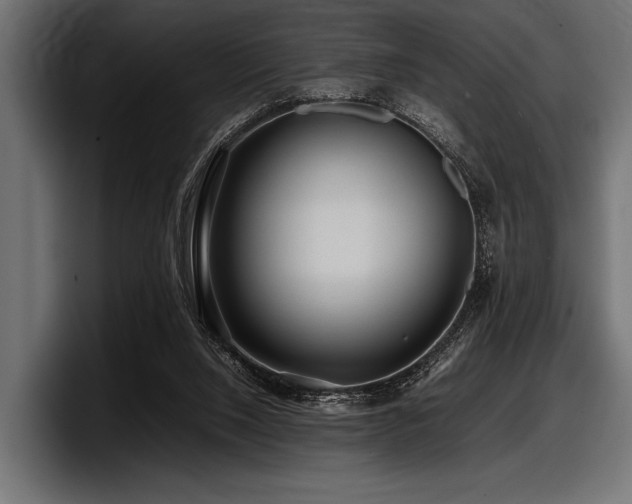 X0000097960064200803241222