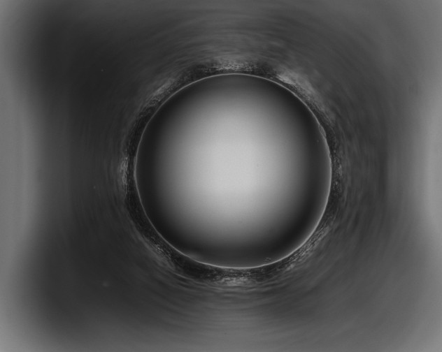 X0000097960066200803241222