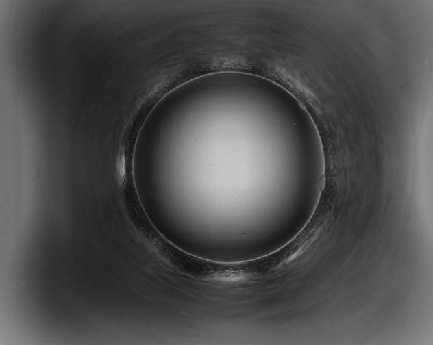 X0000097960067200803241222