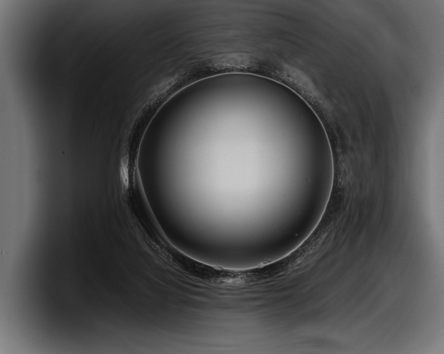 X0000097960068200803241222