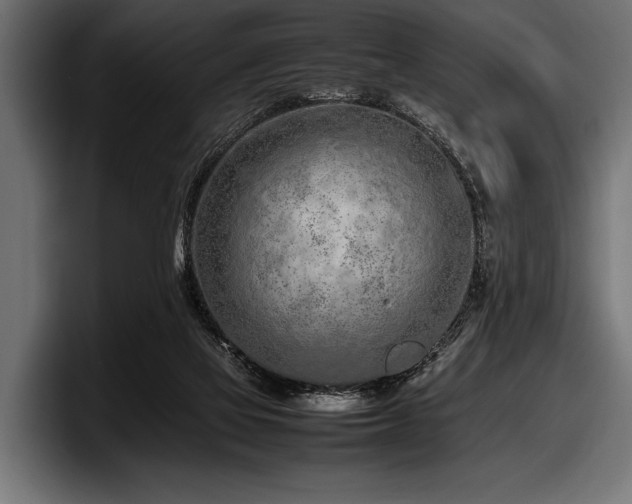 X0000097960069200803241222