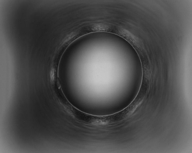 X0000097960071200803241222