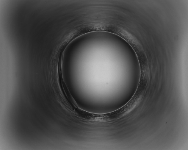 X0000097960072200803241222