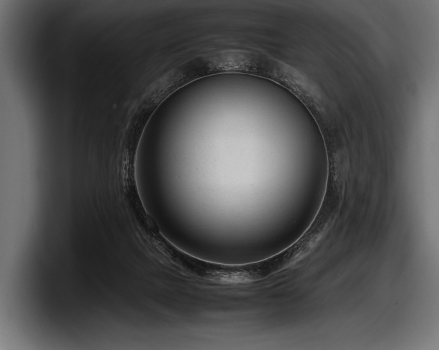 X0000097960073200803241222