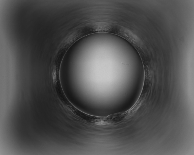X0000097960074200803241222