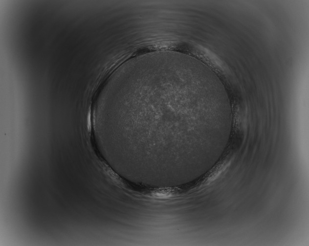 X0000097960076200803241222