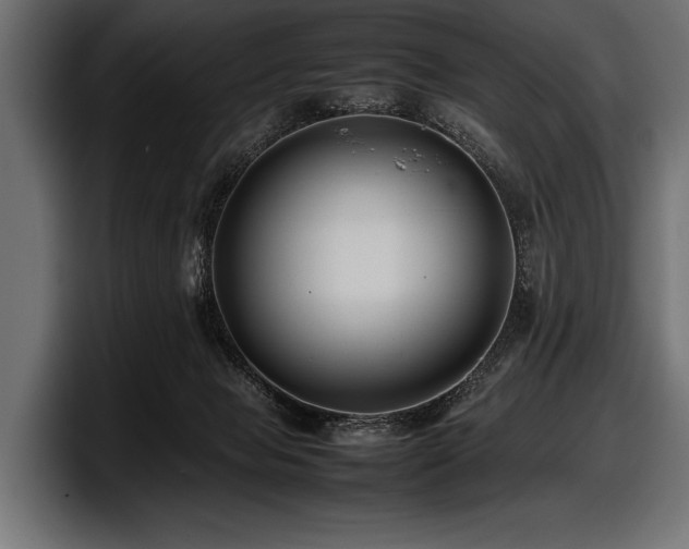 X0000097960077200803241222
