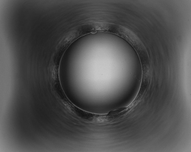 X0000097960078200803241222
