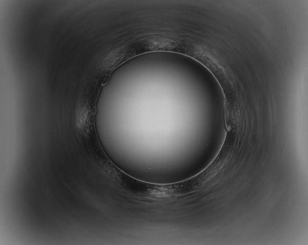 X0000097960079200803241222