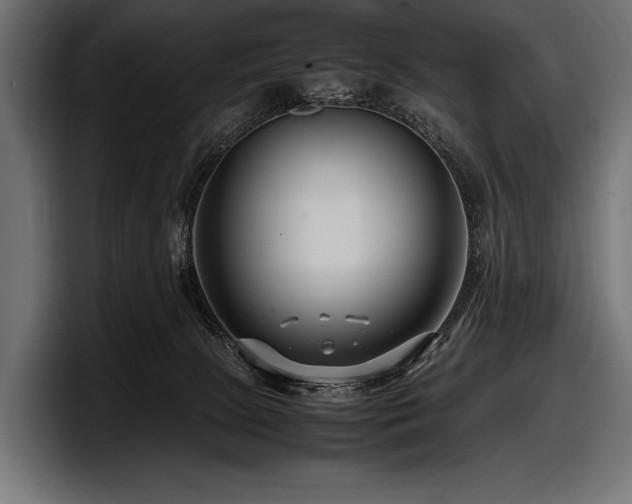 X0000097960081200803241222