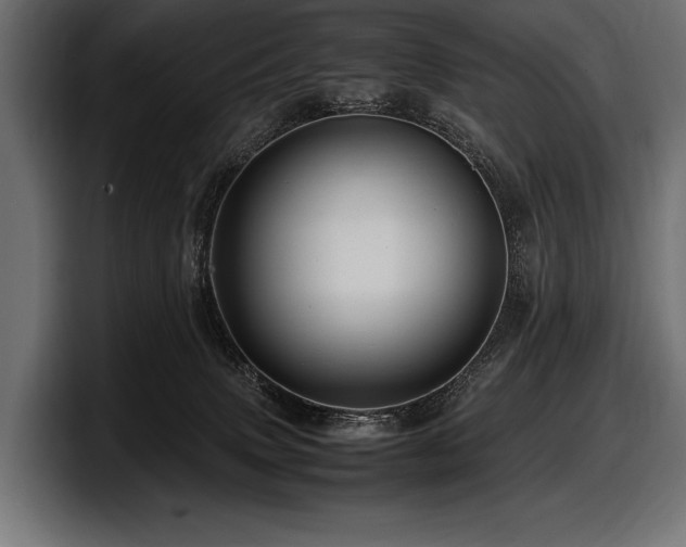 X0000097960083200803241222