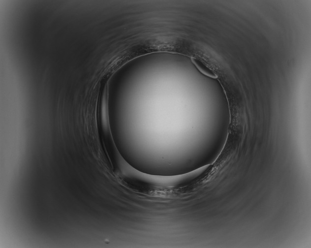 X0000097960084200803241222