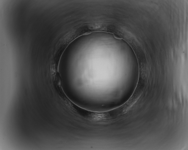 X0000097960085200803241222