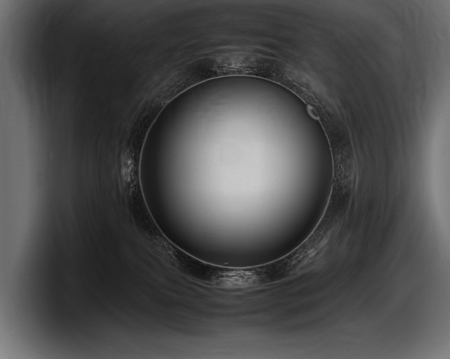 X0000097960087200803241222