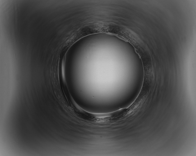 X0000097960088200803241222