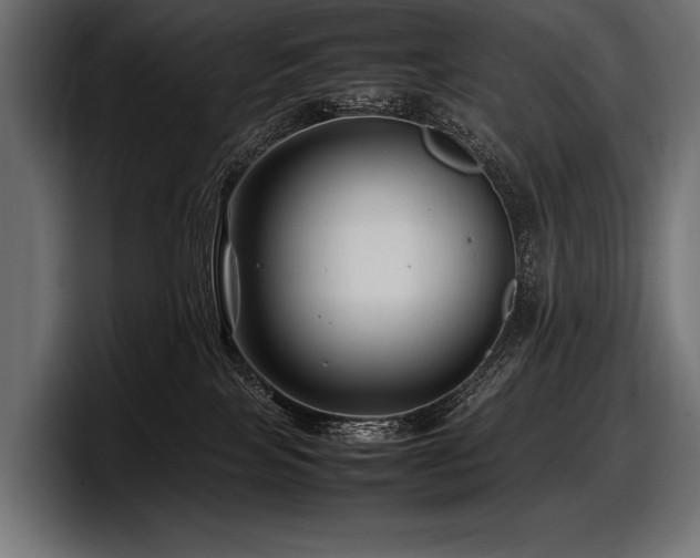 X0000097960089200803241222