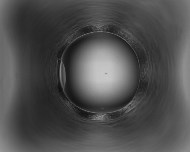 X0000097960090200803241222