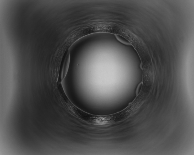 X0000097960091200803241222