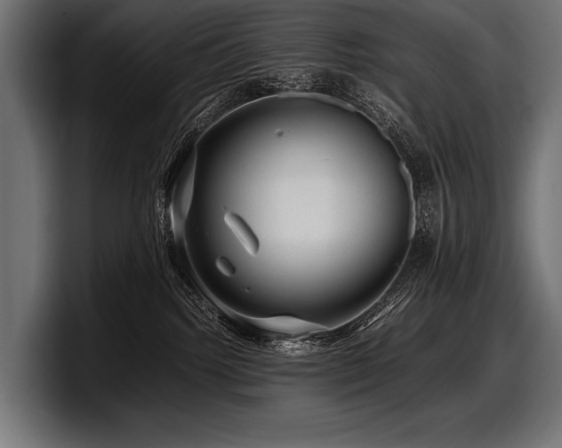 X0000097960092200803241222