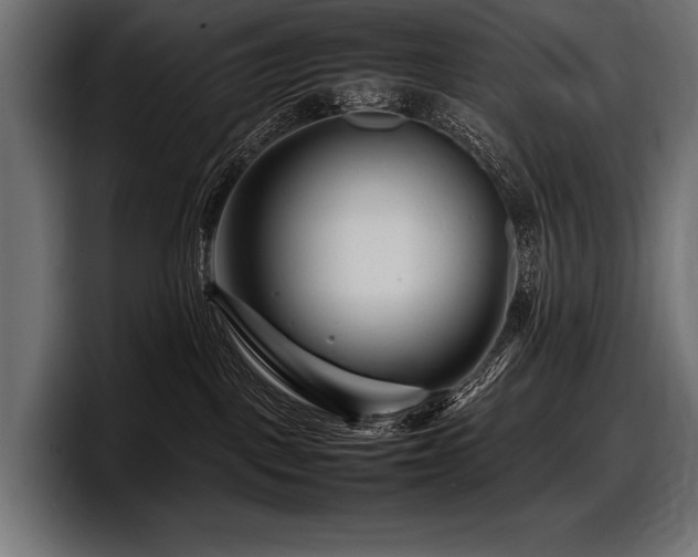 X0000097960093200803241222