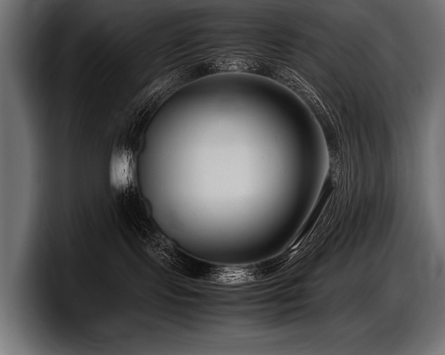 X0000097960095200803241222