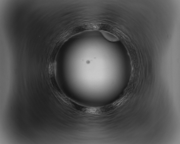 X0000097960096200803241222