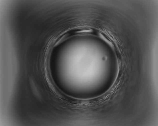 X0000097960097200803241222