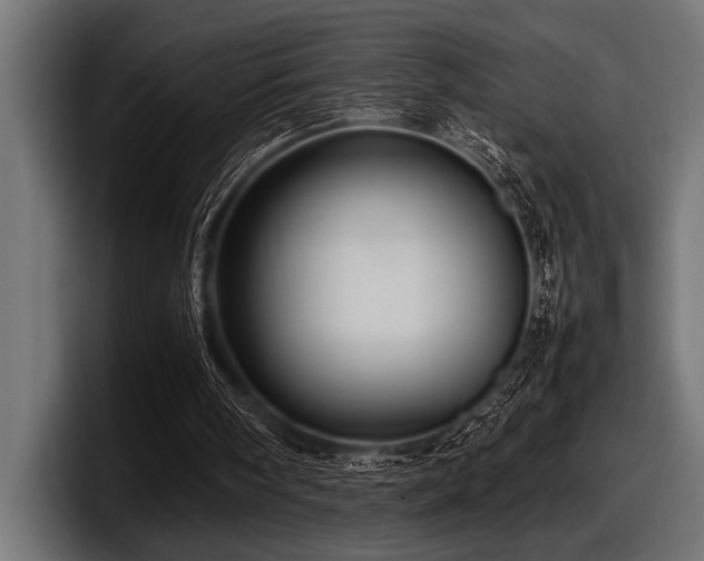 X0000097960098200803241222