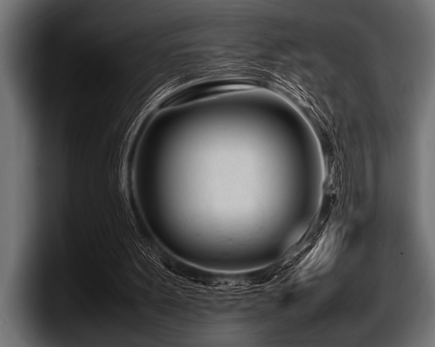 X0000097960099200803241222