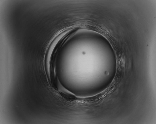 X0000097960100200803241222