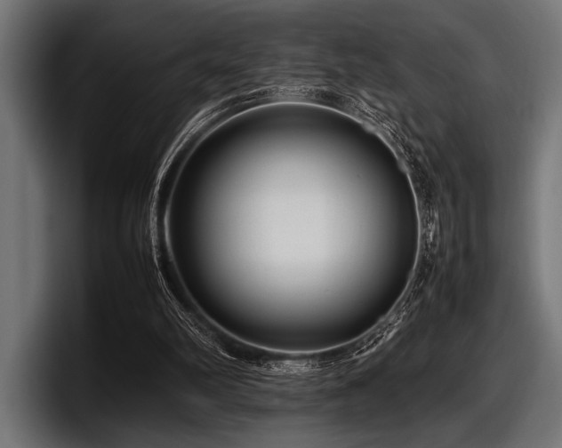X0000097960102200803241222