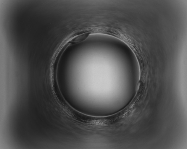 X0000097960103200803241222