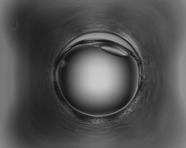 X0000097960105200803241222