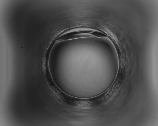 X0000097960107200803241222