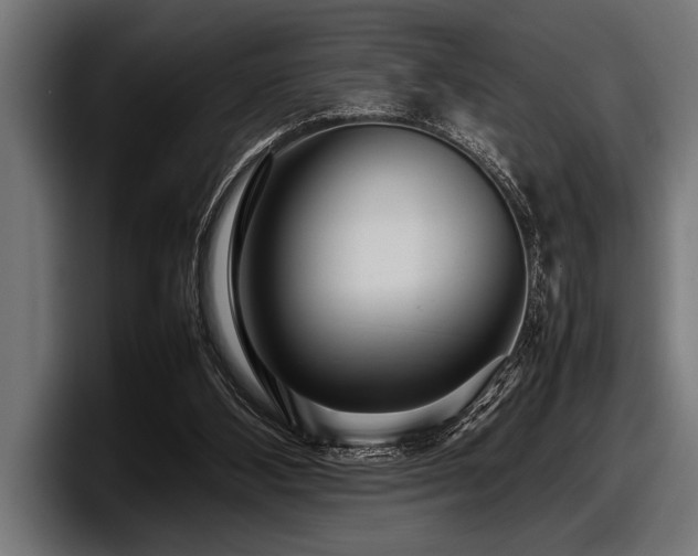 X0000097960108200803241222