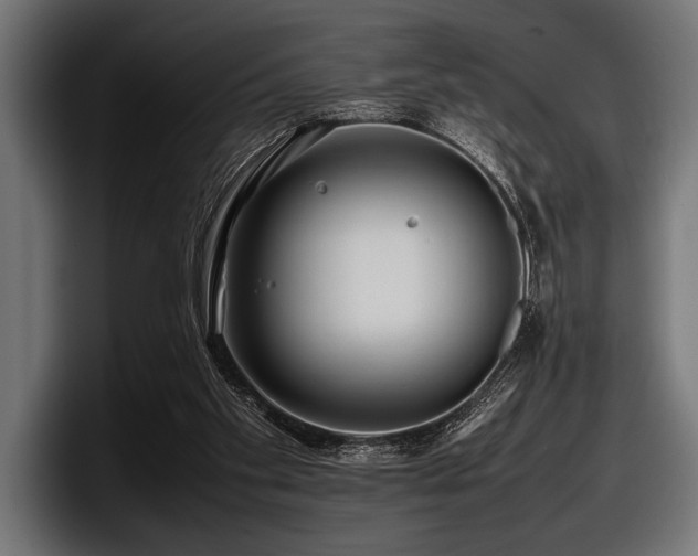X0000097960109200803241222