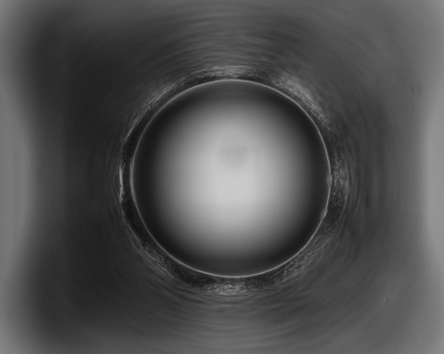 X0000097960110200803241222